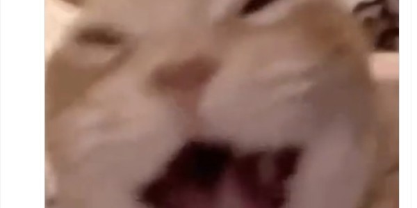 开云体育官网-火蜜怒喷球队输球：让乌度卡&amp;amp;斯通赶紧爬 当你们的球迷越来越尴尬