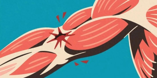 kaiyun-警惕！小心这些药正在“溶解”你的肌肉